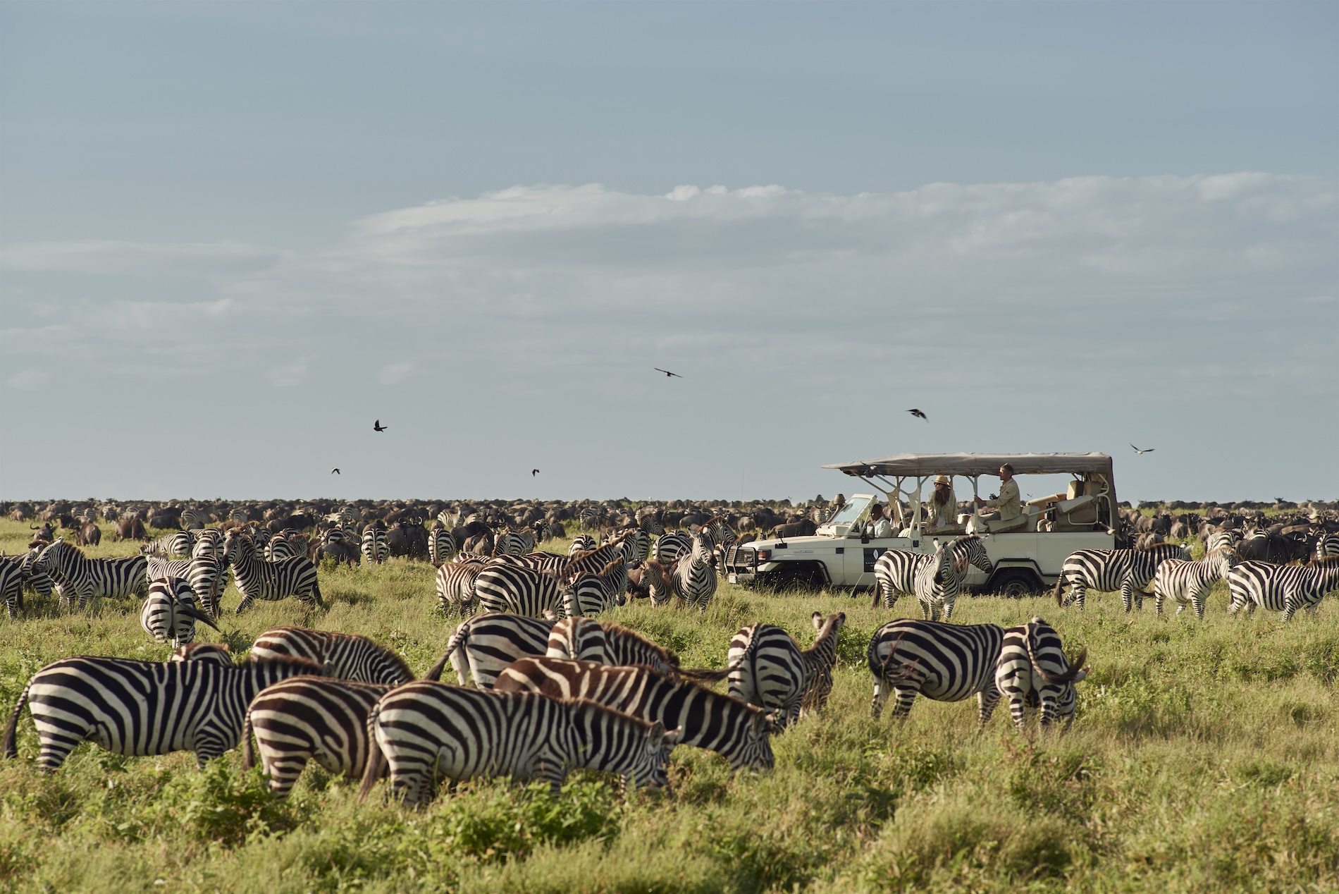 Sanctuary Tanzania: A safari of culture, wildlife and wonder